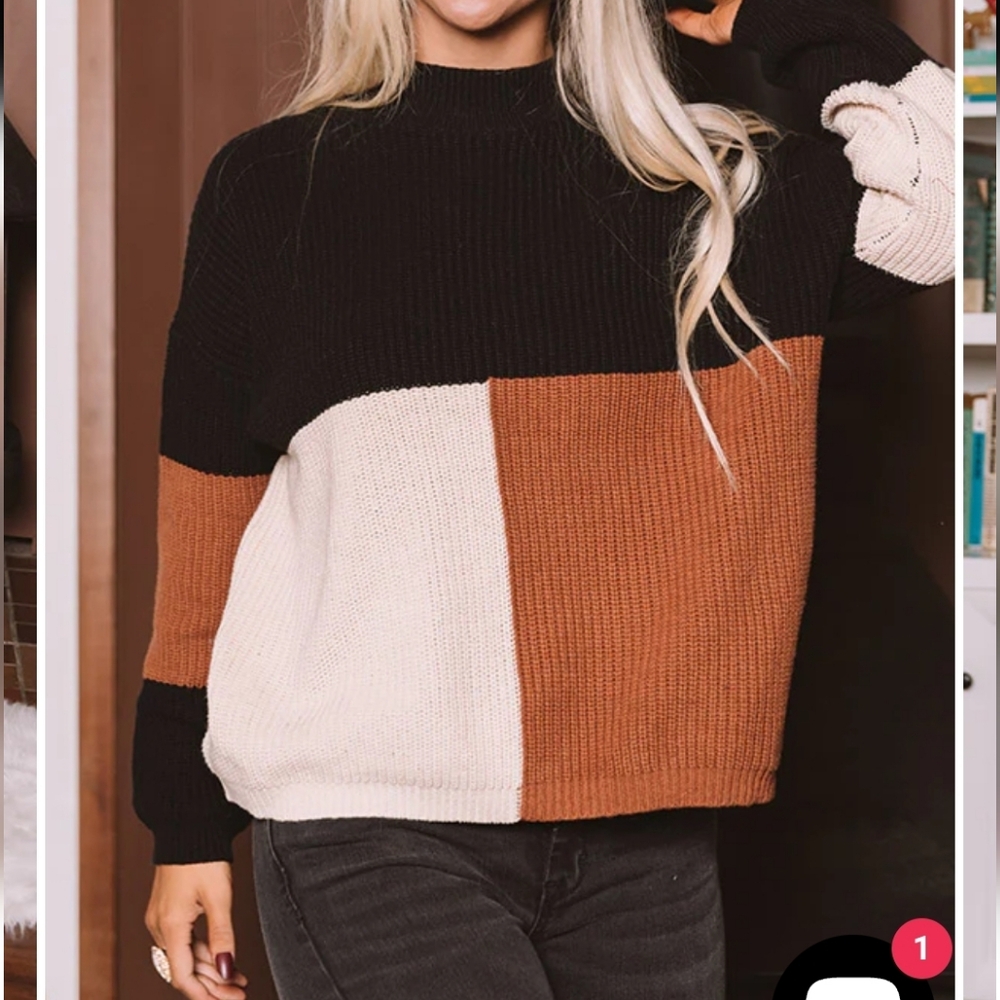 Women's Colorblock Crewneck Sweater - Black, Cream, and Brown